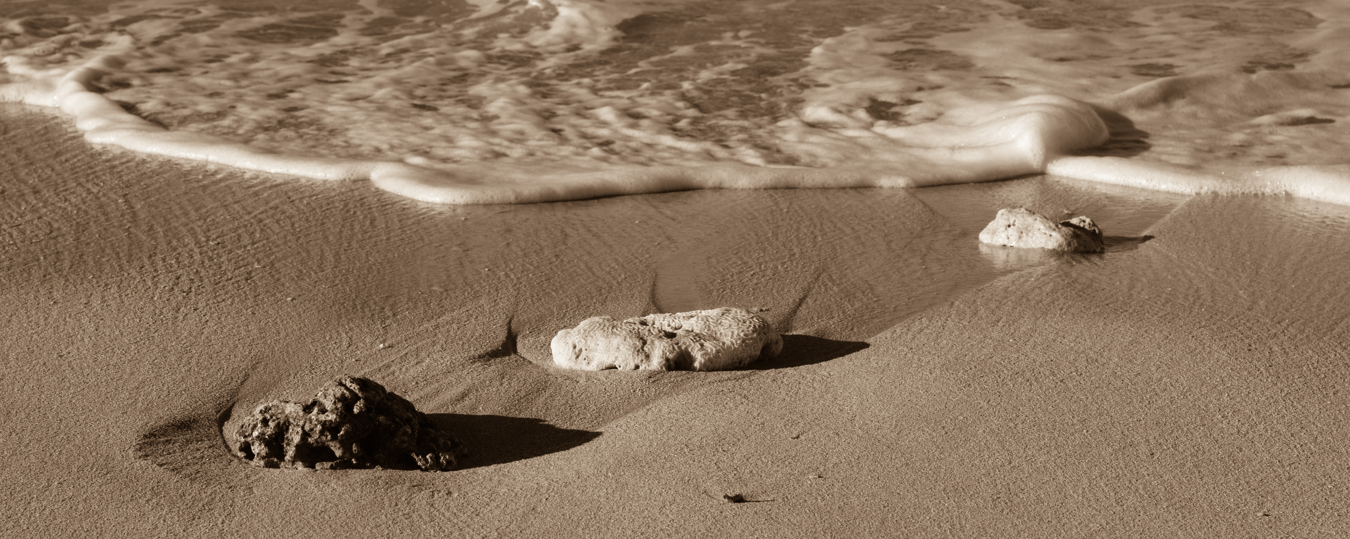 Gareth Harris Photography