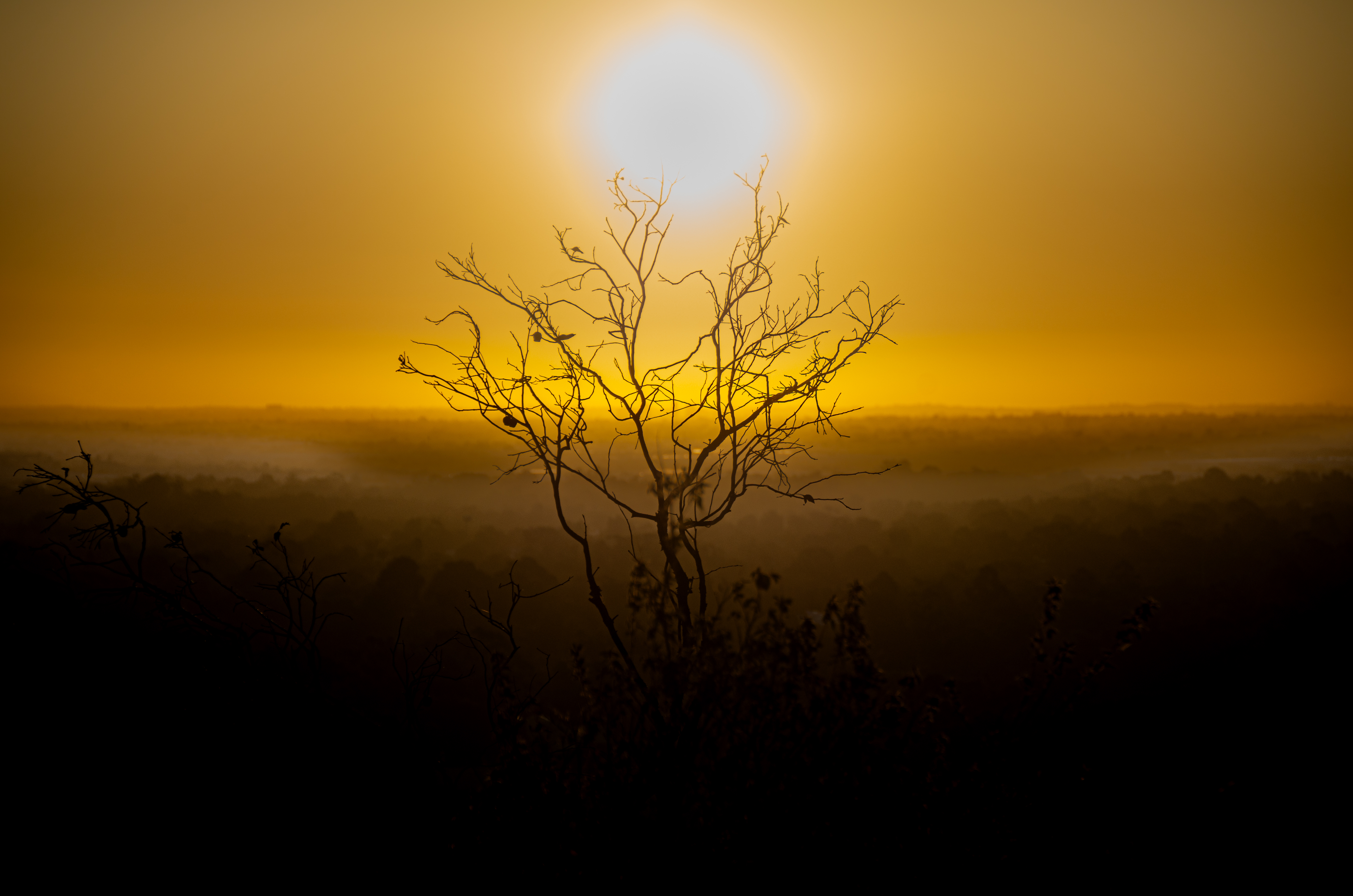 Gareth Harris Photography