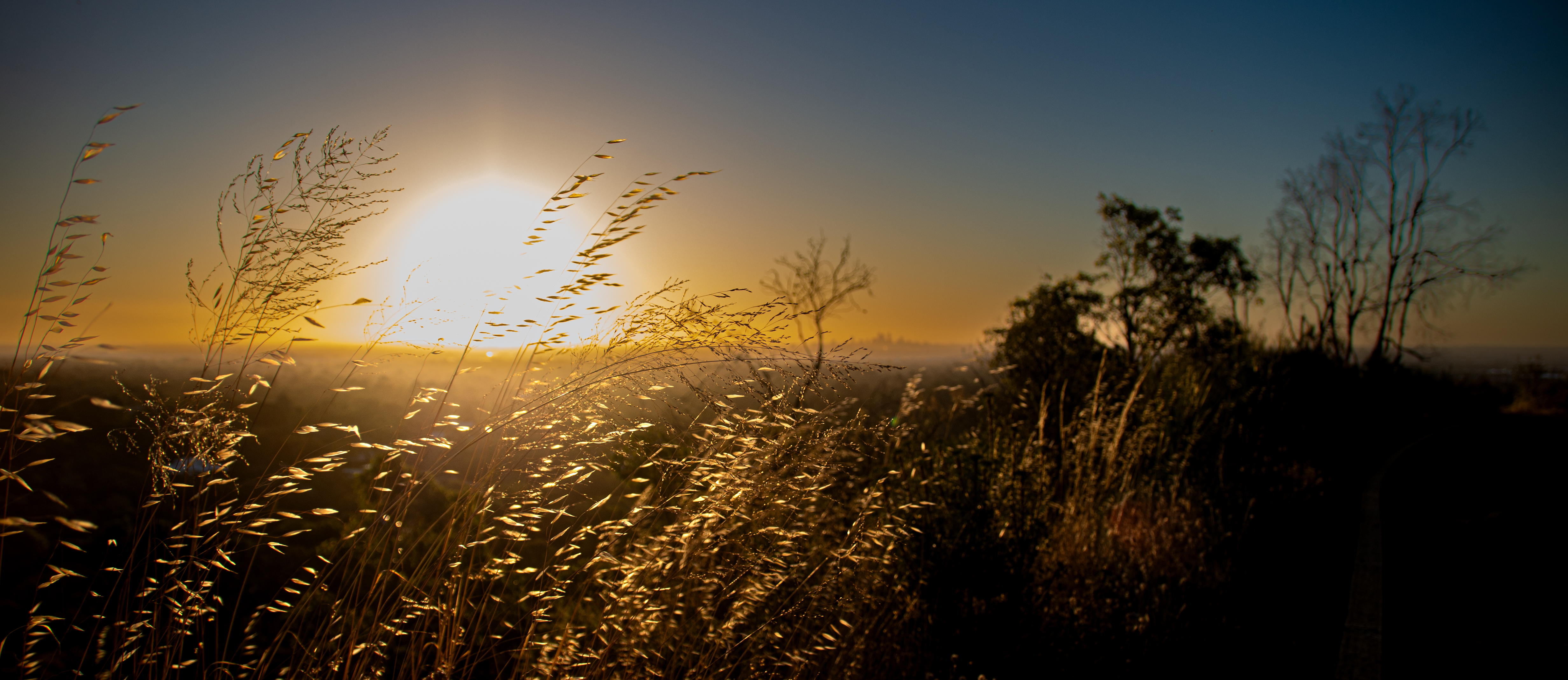 Gareth Harris Photography